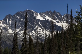 Sharp peaks of a mountain range with snow amid a vast forest near Revelstoke, British Columbia,