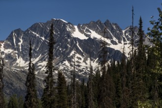 Jagged mountain range with patches of snow above a dense forest near Revelstoke, British Columbia,