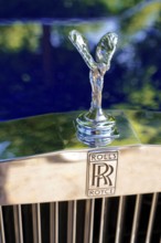 Oldtimer Classic, Gala International Concours d'Elegance Schwetzingen 2025, Germany, Europe,