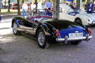 Oldtimer Classic, Gala International Concours d'Elegance Schwetzingen 2025, Germany, Europe, A