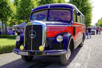 MERCEDES-BENZ 3500, built in 1950, front view of a red and black vintage Mercedes bus, Oldtimer