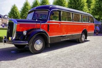 MERCEDES-BENZ 3500, built in 1950, red and black vintage bus in clear skies and sunshine, Oldtimer