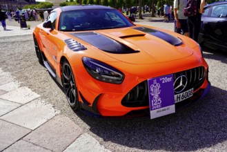 Oldtimer Classic, Gala International Concours d'Elegance Schwetzingen 2025, Germany, Europe, An