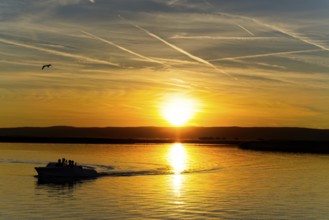 Lake Neusiedl, Burgenland, Austria, Europe, motorboat at sunset, birds in the sky between orange