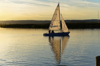 Lake Neusiedl, Burgenland, Austria, Europe, Sailboat on calm water, gentle evening mood with