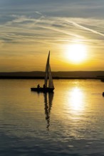 Lake Neusiedl, Burgenland, Austria, Europe, Sailboat gliding on calm water in the golden glow of