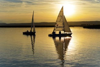 Lake Neusiedl, Burgenland, Austria, Europe, Two sailboats in the evening light with smooth water