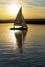 Lake Neusiedl, Burgenland, Austria, Europe, Sailboat at sunset, reflected in the water under a