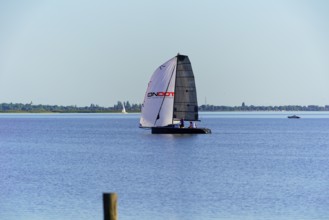 Lake Neusiedl, Burgenland, Austria, Europe, A catamaran with large sails sails on a calm lake with