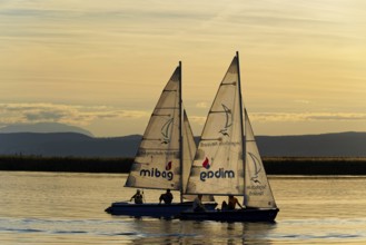 Lake Neusiedl, Burgenland, Austria, Europe, Two sailing boats glide on the lake at sunset,