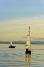 Lake Neusiedl, Burgenland, Austria, Europe, Two sailboats sailing at sunset on the smooth water
