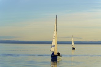 Lake Neusiedl, Burgenland, Austria, Europe, Two sailboats sailing in calm water and golden evening