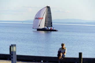 Lake Neusiedl, Burgenland, Austria, Europe, A boy sits on a jetty and watches a catamaran sailing