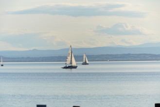 Lake Neusiedl, Burgenland, Austria, Europe, Several sailboats glide across the calm lake under a