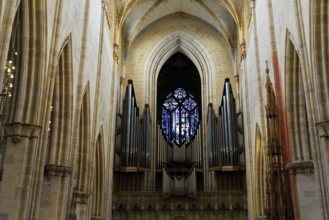 The interior of the largest Protestant church in Germany. It has the world's highest church tower,