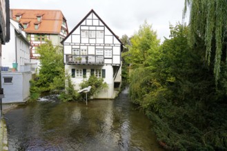 The picturesque fishermen's quarter in Ulm with its beautiful half-timbered houses on the Blau,