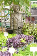 Farmers' market on Münsterplatz, stall, Ulm, Baden-Württemberg, Germany, Europe, Einstein sculpture