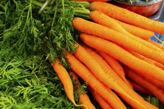 Farmers' market on Münsterplatz, stall, Ulm, Baden-Württemberg, Germany, Europe, Fresh