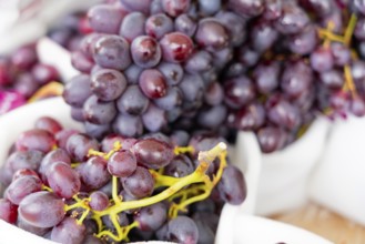 Farmer's market on the Münsterplatz, Stall, Ulm, Baden-Württemberg, Germany, Europe, Close-up of
