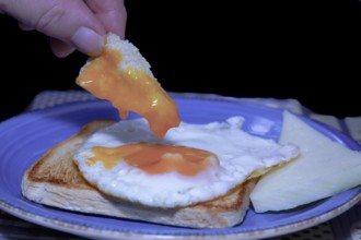Close-up of a hand dipping bread into a runny egg yolk, served on toast with cheese, creating a