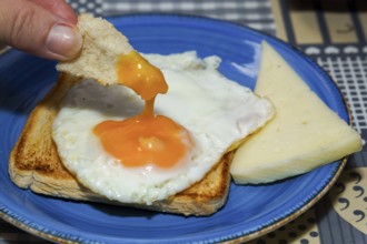 Close-up of dipping toast into a fried egg yolk, served with cheese on a blue plate, enjoying a
