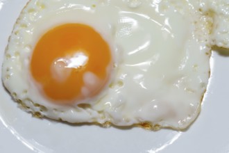 Close-up of a single fried egg sunny side up, showcasing the golden yolk and crispy edges of the