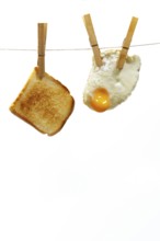 Toasted slice of bread and fried egg hanging from a clothesline on a white background, representing