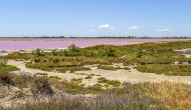 Scenery around Salin-de-Giraud located in in the Camargue area in southern France wich is showing