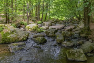 Impression at the idyllic nature reserve named Hoelle in the Bavarian Forestin Southern Germany at