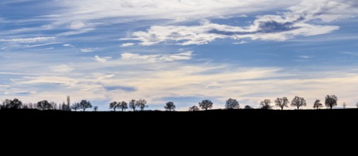 Rural landscape silhouette in front of a evening sky in Southern Germany