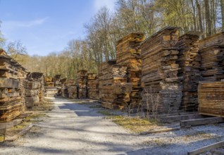 Lots of stacked wooden boards on a lumber yard in sunny ambiance