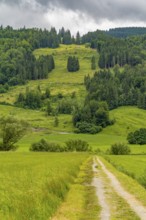 Idyllic scenery around Immenstadt, a town in the Upper Allgaeu in Bavaria, Germany