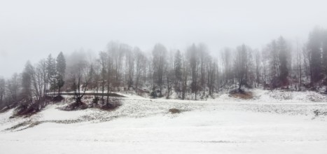 Roadside scenery at the Berchtesgadener Land in Bavaria, Germany at winter time