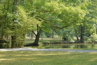 Idyllic park scenery with lake at summer time