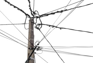 Top of a wooden utility pole isolated in white back
