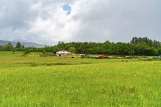 Farmland scenery around Saulxures, a commune in the Bas-Rhin department in Grand Est in