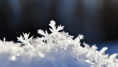 AI generated closeup image showing snow crystals in sunny ambiance