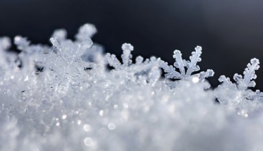 AI generated closeup image showing snow crystals in sunny ambiance