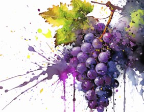 Viticulture and fruit theme showing red grapes in multicolored vibrant splashy ambiance. AI