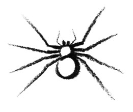 Crayon-sketched spider
