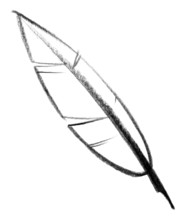 Crayon-sketched illustration of a quill
