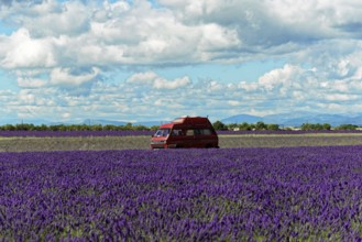 Red motorhome standing in a wide lavender field under a cloudy sky, Provence, Département