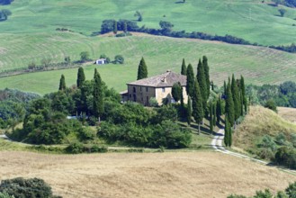 A Tuscan farmhouse surrounded by cypress trees on a hill in a rural setting, south of Pienza,
