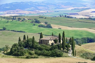 Large panoramic view of a Tuscan landscape with farmhouse and cypress trees, south of Pienza,