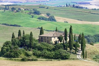 An old farmhouse surrounded by cypress trees on a green hill in Tuscany, south of Pienza, Tuscany,