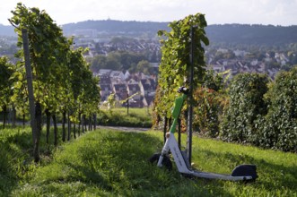E-scooter, electric scooter, scooter parked in the vineyard next to vines, in the bike rental of