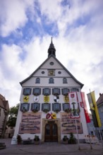 Historical depiction of folk festival parade, at the town hall, Bad Cannstatt, Stuttgart,