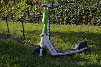 E-scooter, electric scooter, scooter parked in the vineyard next to vines, in the bike rental of