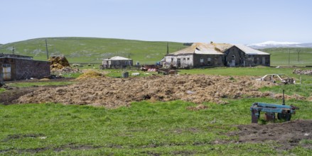 A farm with old buildings and agricultural machinery on a green pasture, cow dung in front of it,