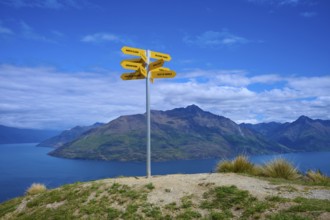 Yellow signposts on a hill in front of a vast mountain landscape under a blue sky, Queenstown,